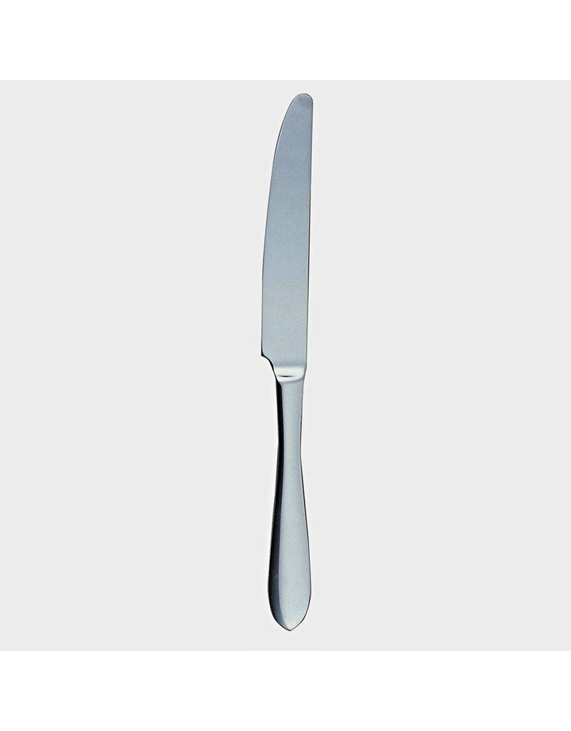 Ginkgo Dinner Knife, LINDEN, 18/0 polished stainless