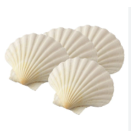 Harold Imports Natural Baking Scallop Shells, 4", Set of 4