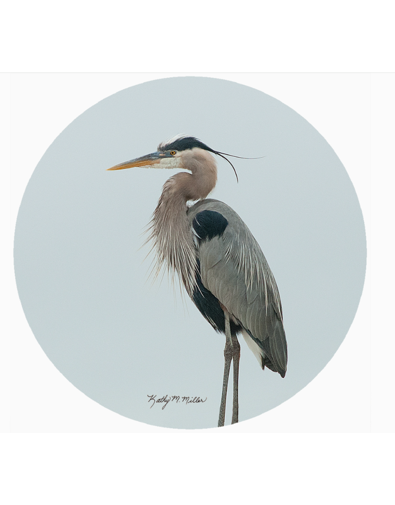 Andreas Silicone Jar Opener, Heron