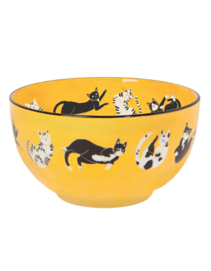 Now Designs Everyday Bowl, Meow & Furrever Cats