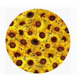 Andreas Silicone Jar Opener, Sunflowers