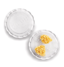 Harold Imports Fante Garlic Twister disc