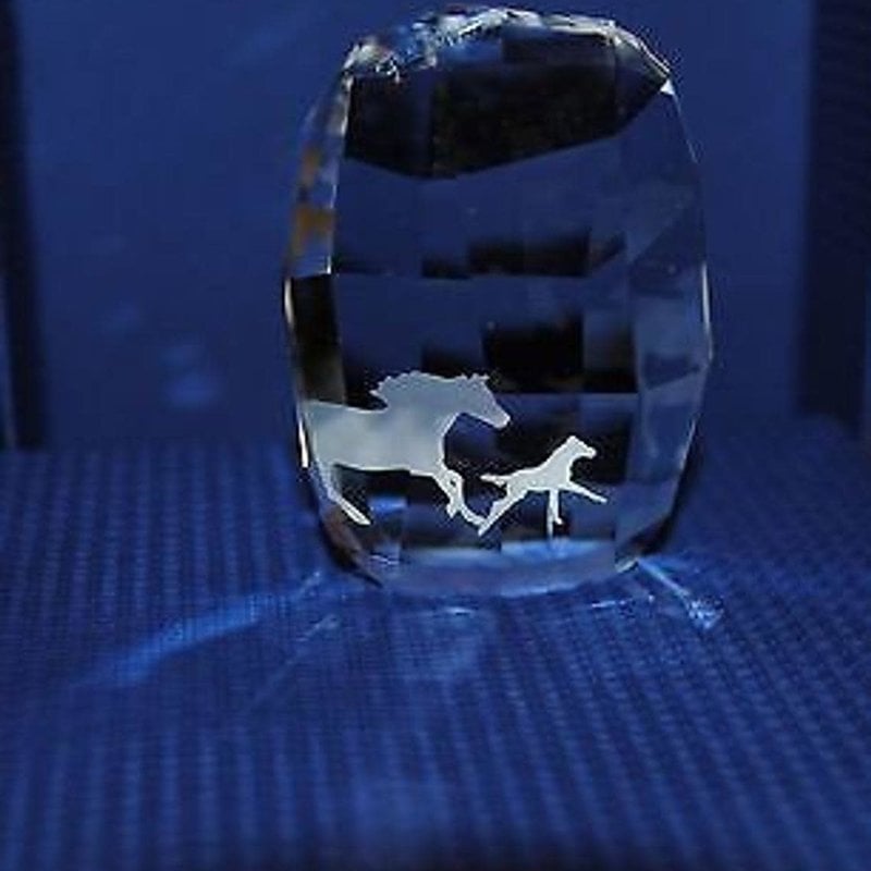 Swarovski Swarovski Crystal SCS Membership Running Mother Horse with Foal Paperweight