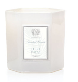 Antica Farmacista Lush Palm Candle, 9 oz