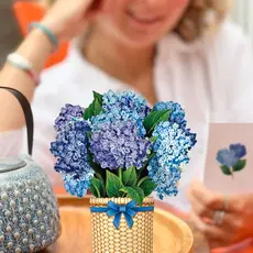 Mini Nantucket Hydrangeas