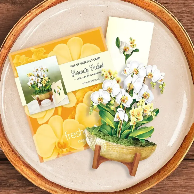 Mini Serenity Orchid