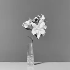 Waterford Lismore Bud Vase, 7in