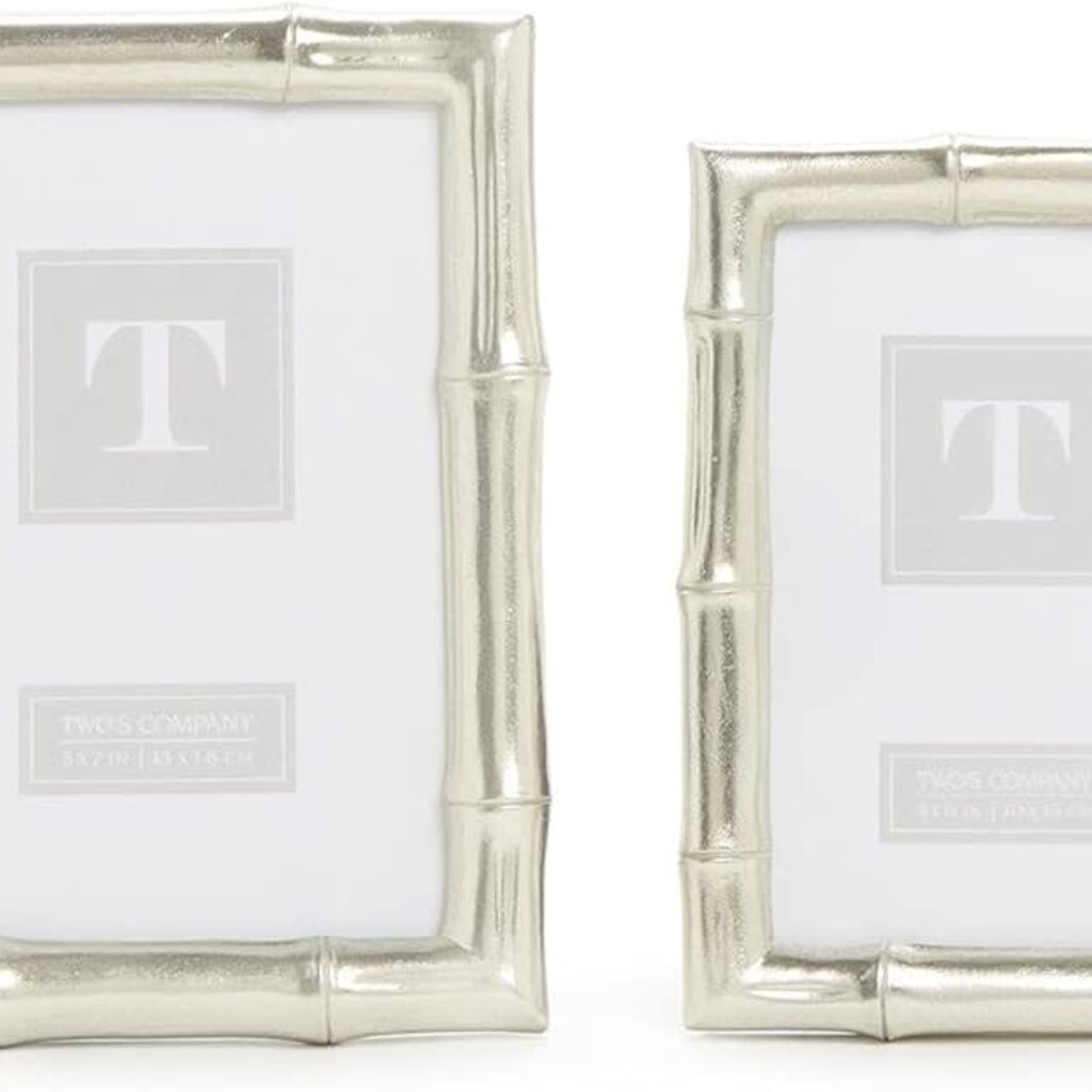 Silver Faux Bamboo Frame 4 x 6
