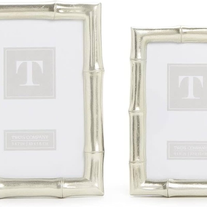 Silver Faux Bamboo Frame 4 x 6