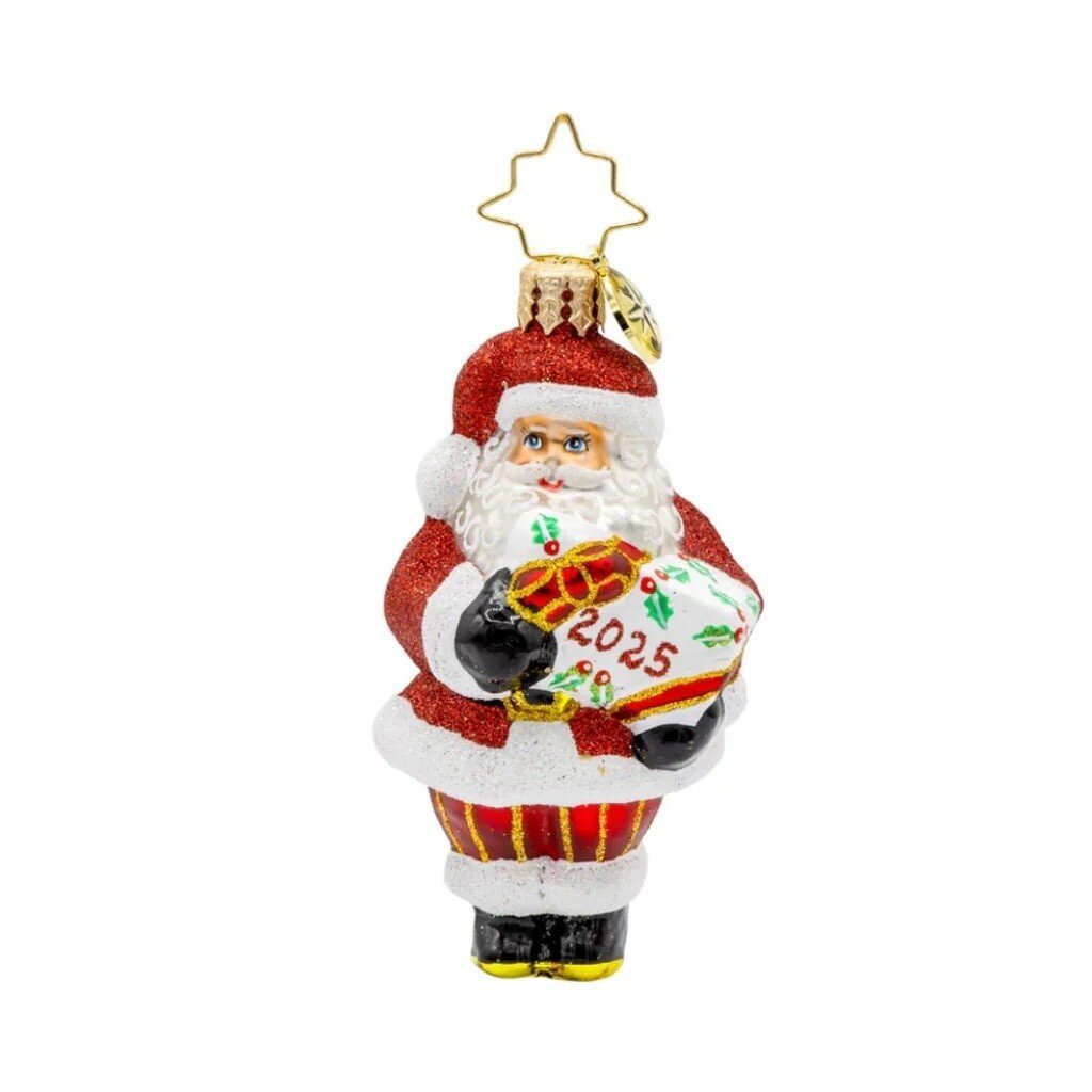 Radko Santa's Special Gift 2025 Gem