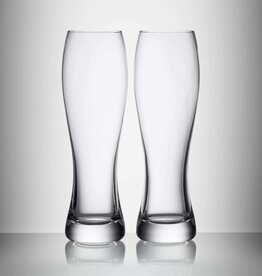 Waterford Craft/Brew IPA Glasses, set of 2