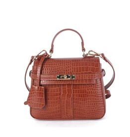 Lisi Lerch Celine Brown Croc Handbag