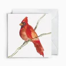 Anne Neilson Cardinal Enclosure Cards