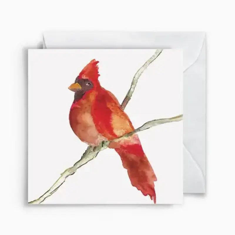 Anne Neilson Cardinal Enclosure Cards