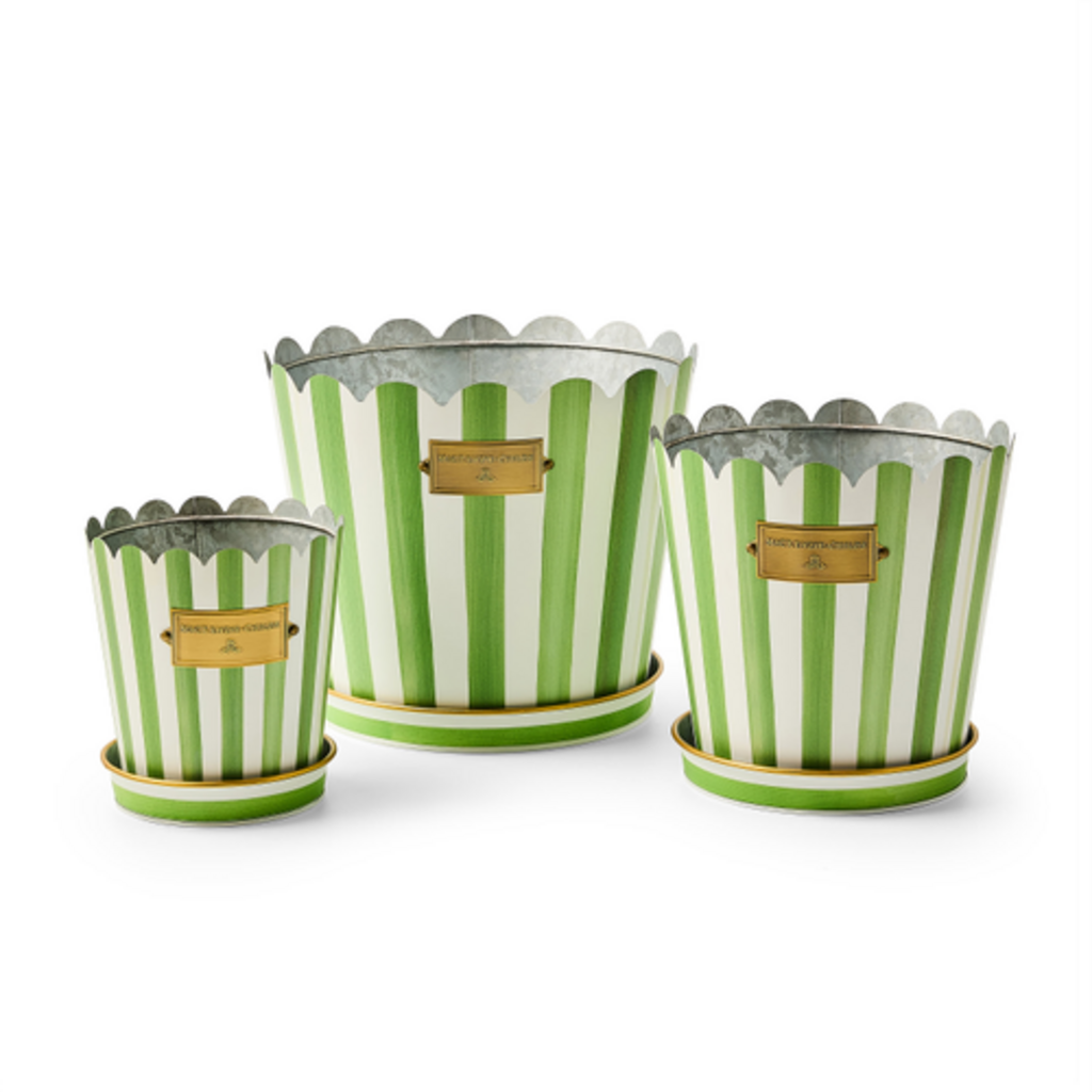 Mackenzie-Childs grass green stripe pots & saucers, set of 3
