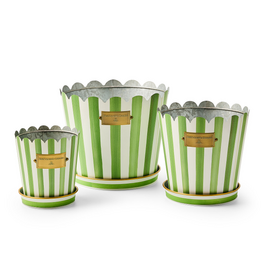 Mackenzie-Childs grass green stripe pots & saucers, set of 3