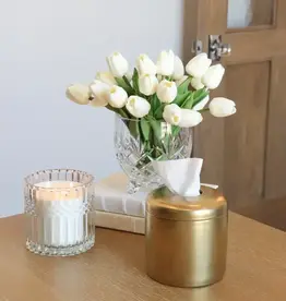 Coco Tissue Vessel ( matte gold)