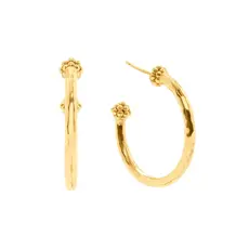 CAPUCINE DE WULF Berry Medium Hoop Earrings in Gold
