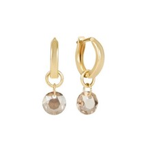 enewton Huggie Gold 0.5" Hoop - Reflection
