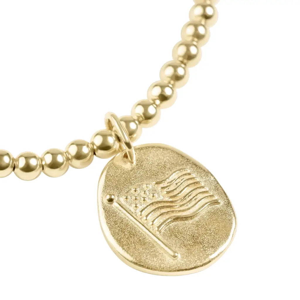 enewton Classic Gold 3mm Bracelet - Inspire America Gold Disk