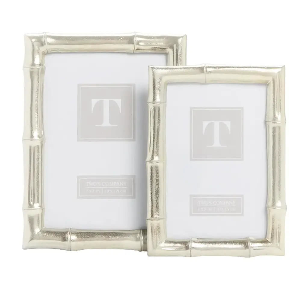 Silver Faux Bamboo Frame 5 x 7
