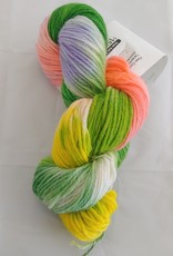 Joyous Colors 09 Worsted weight wool