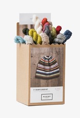 Blue Sky Fibers 21-Color Slouch Hat Kit (BSF)