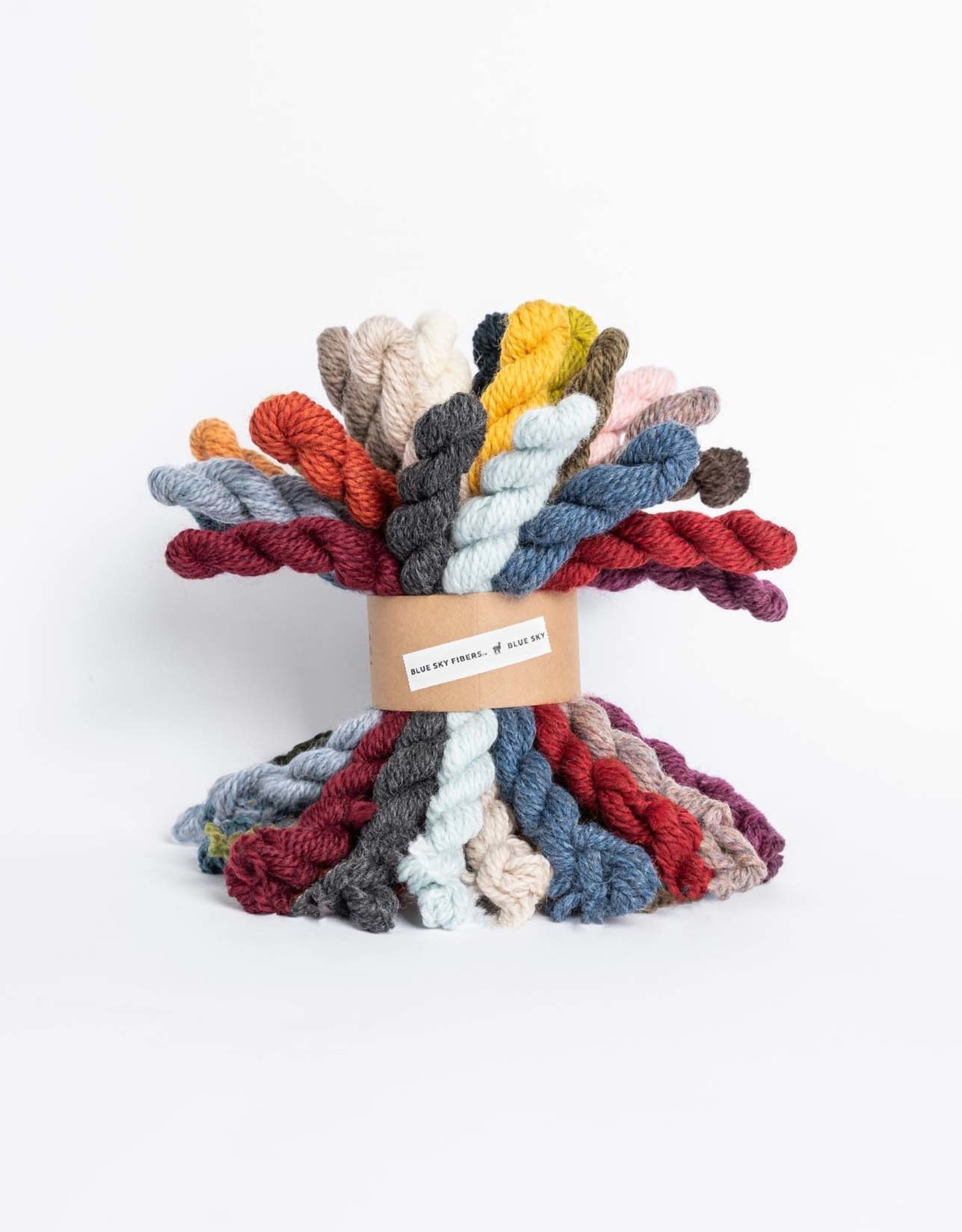 Blue Sky Fibers Woolstok 27 Color Bundle