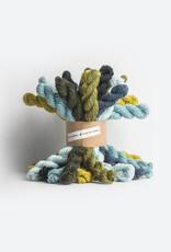 Blue Sky Fibers Woolstok Bundle