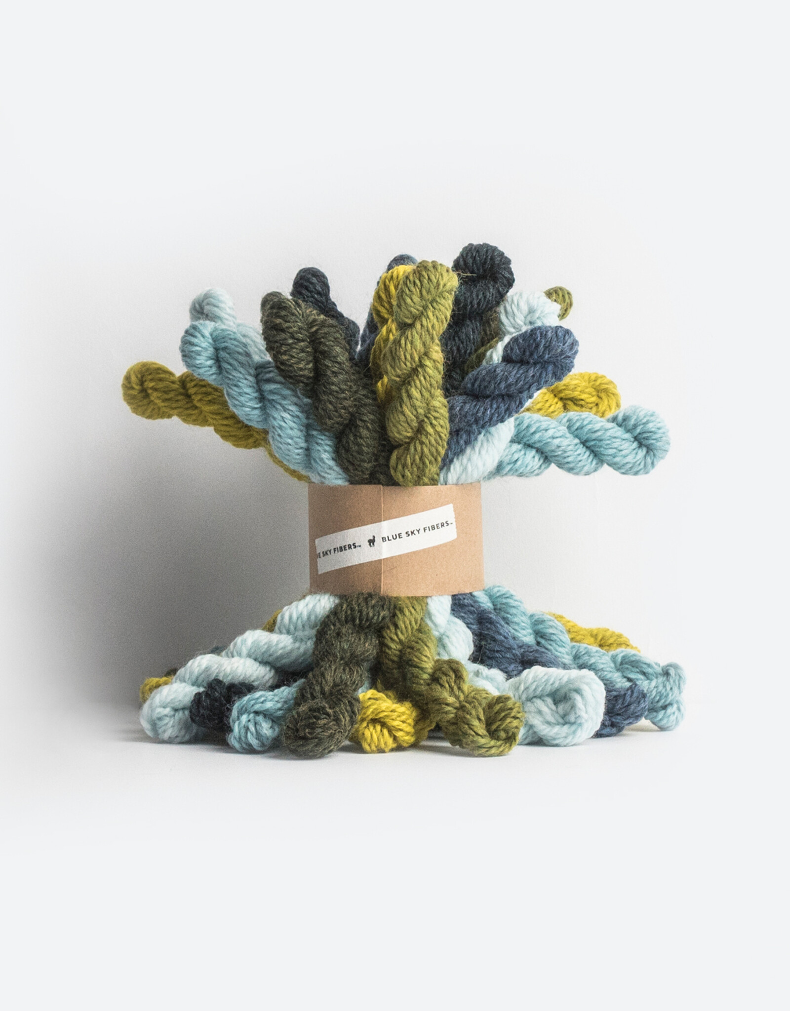 Blue Sky Fibers Woolstok Bundle