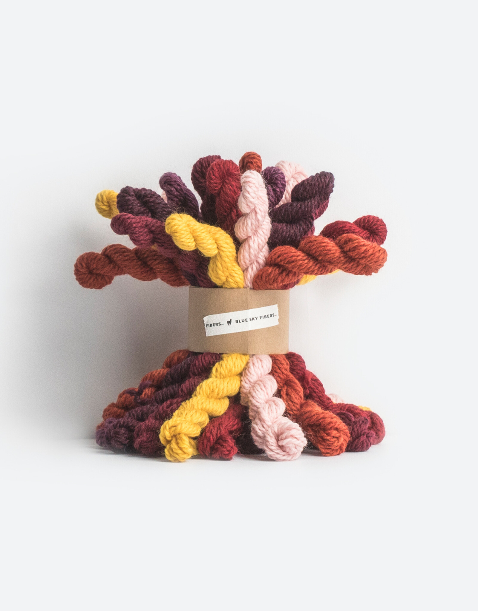 Blue Sky Fibers Woolstok Bundle