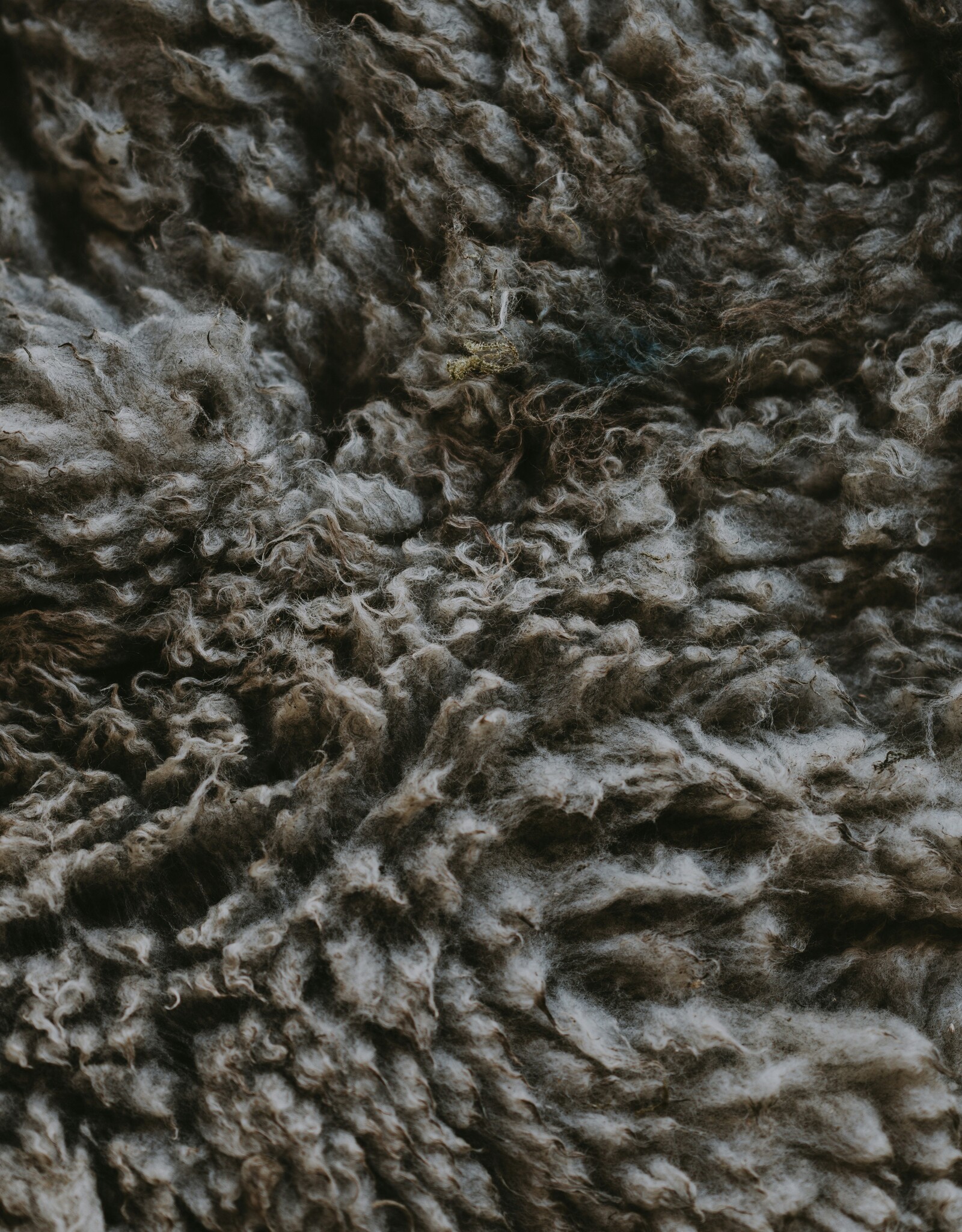 Cathleen the Spinster Class: Carded, Combed, and Clouds, Oh My (Fiber Preps)