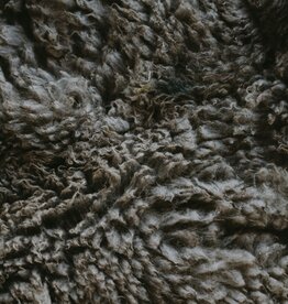 Cathleen the Spinster Class: Carded, Combed, and Clouds, Oh My (Fiber Preps) 7/12/26