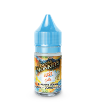 Twelve Monkeys Salt Bliss ICE