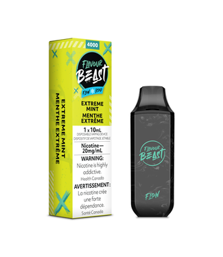 FLAVOUR BEAST FLOW 4000 Extreme Mint Iced