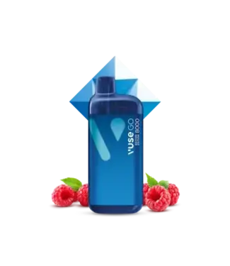 VUSE GO 8K Blue Raspberry (ONTARIO)
