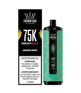 AL FAKHER 75K Lemon Mint (ONTARIO)