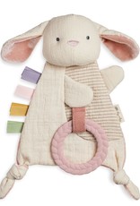 Itzy Ritzy Crinkle Sensory Toy