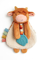 Itzy Ritzy Plush Lovey w/ Teether