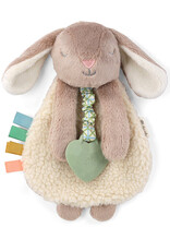 Itzy Ritzy Plush Lovey w/ Teether