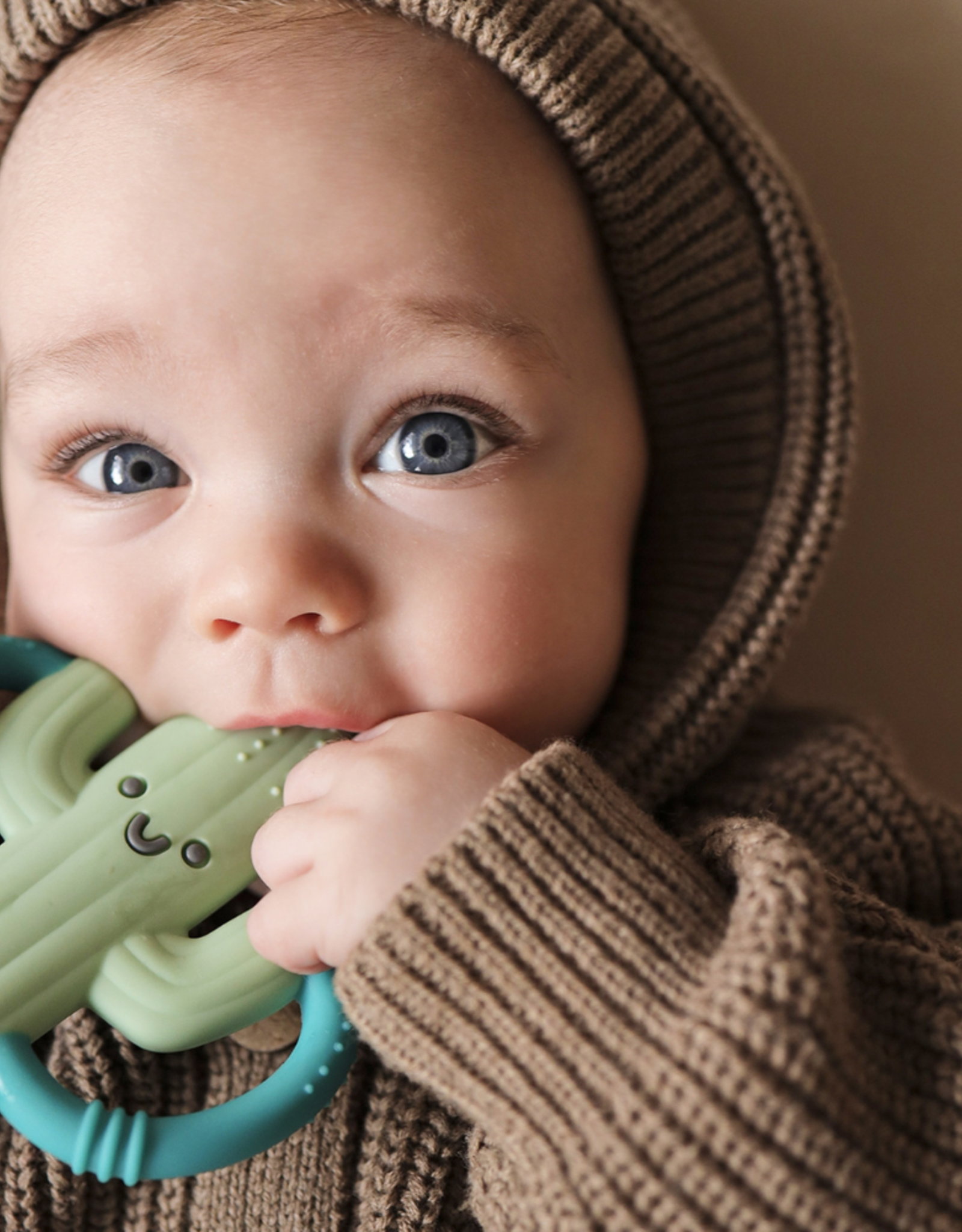 Itzy Ritzy Chew Crew Teether