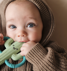 Itzy Ritzy Chew Crew Teether