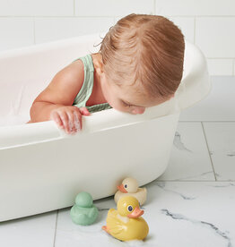 Itzy Ritzy Duck Family