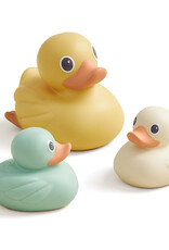Itzy Ritzy Duck Family