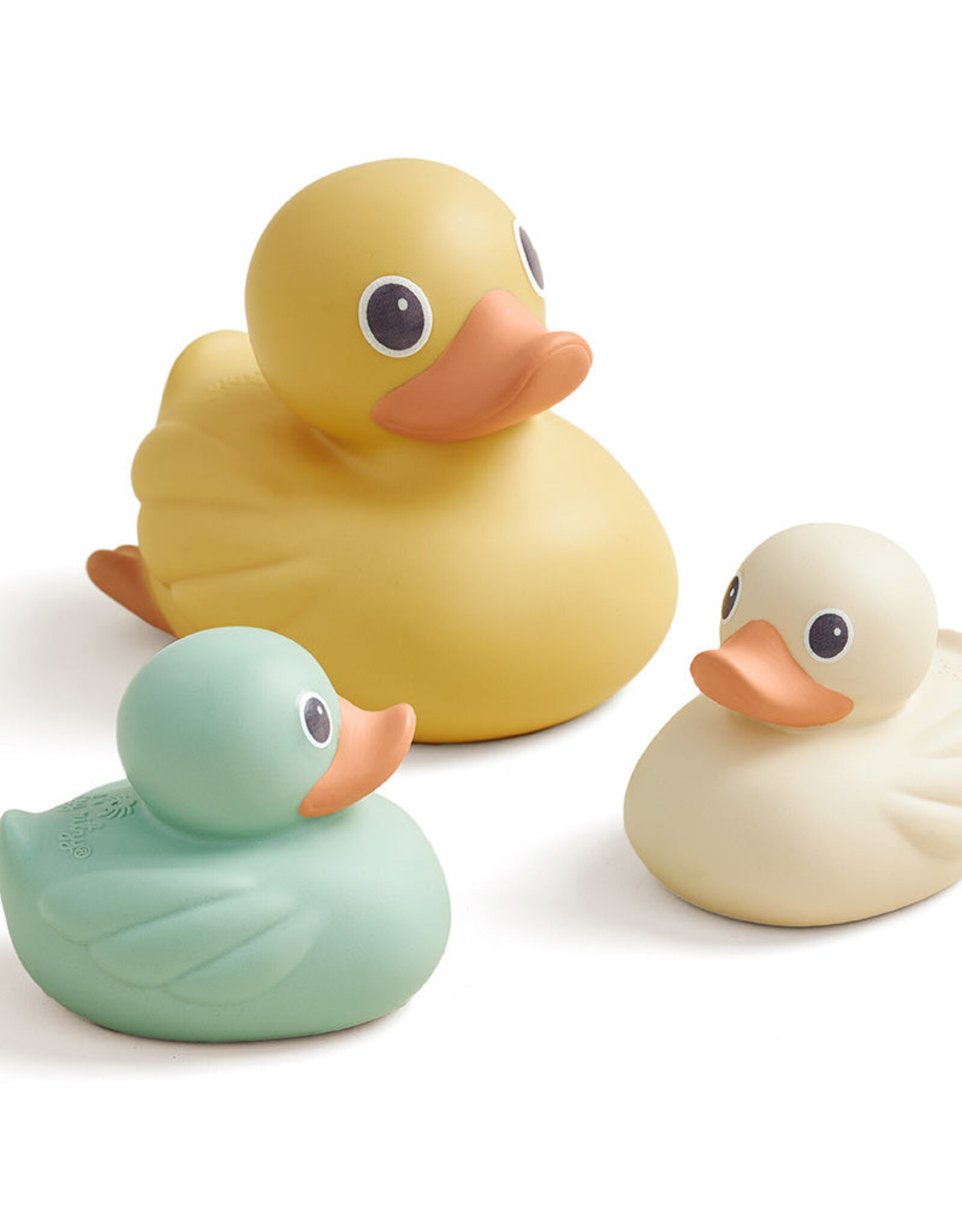 Itzy Ritzy Duck Family