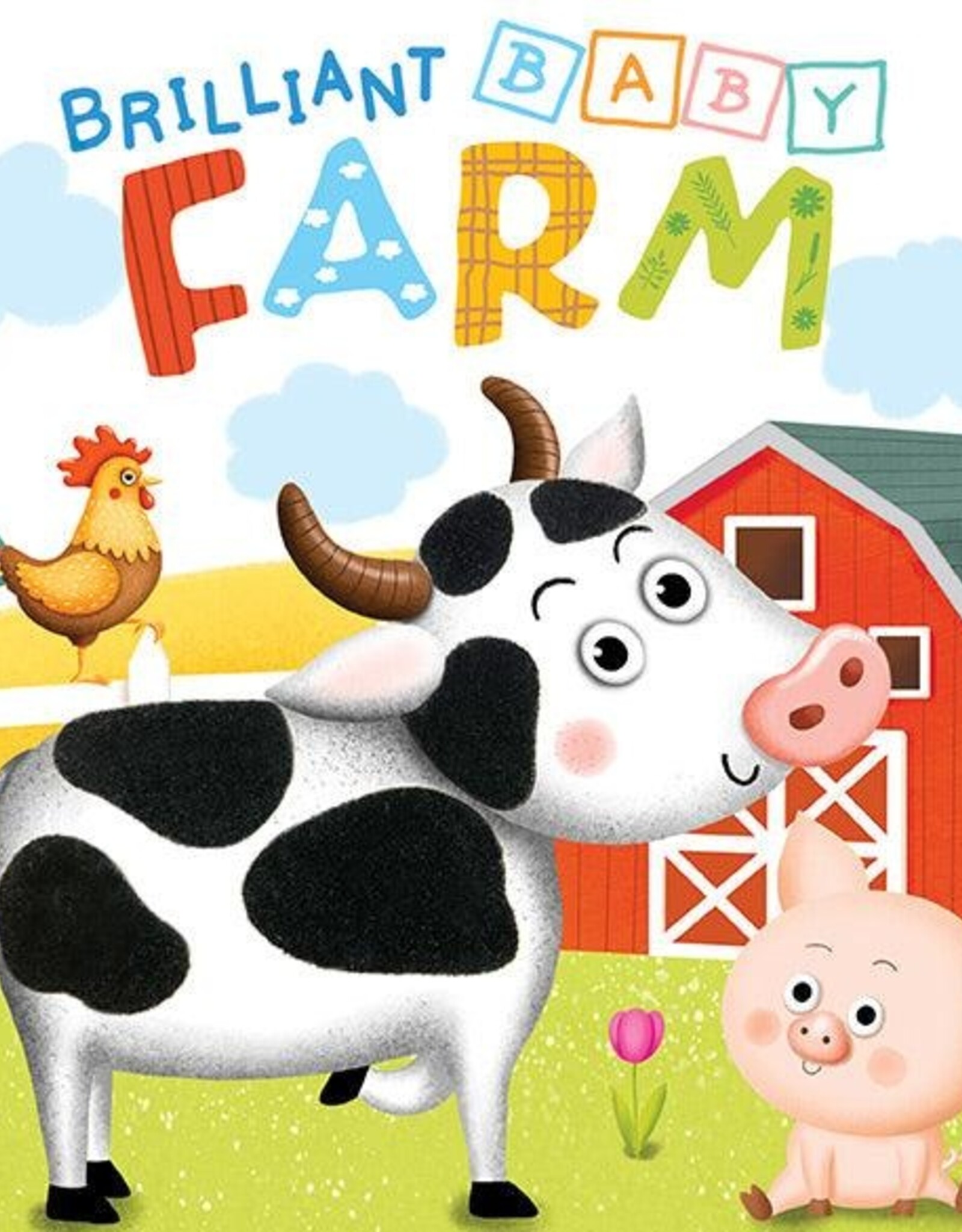 Little Hippo Books Brilliant Baby Touch & Feel Book