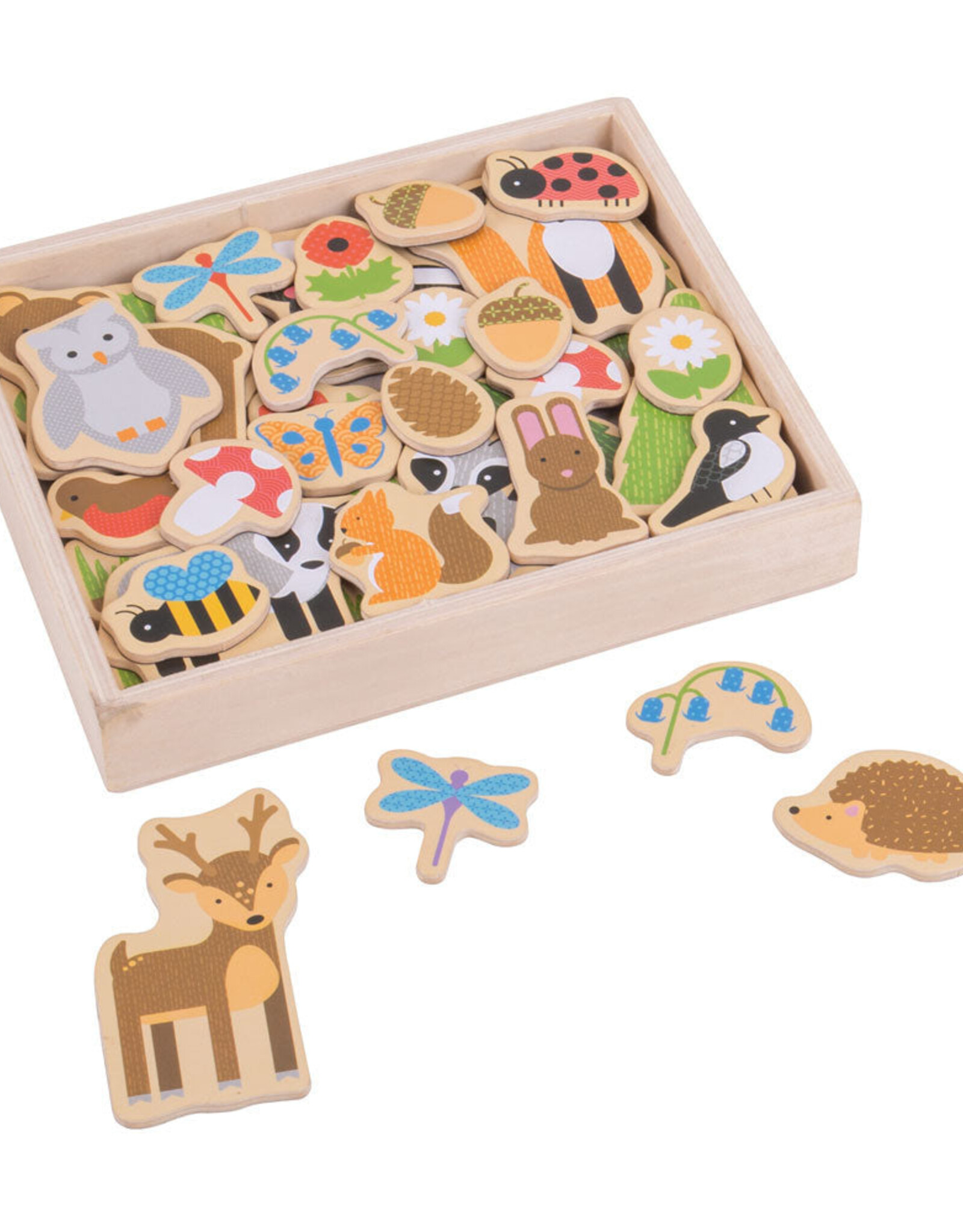 BigJigs Toys Wooden Magnets