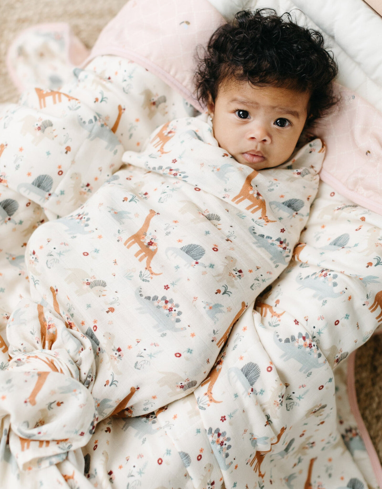 LouLou Lollipop Single Swaddle - Baby Dinomite