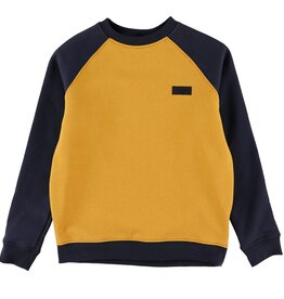 Vans SP25 Core Basic Crew