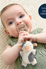 Itzy Ritzy Bitzy Pal Pacifier & Plush